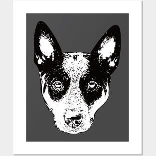 Australian Kelpie - Kelpie Christmas Gifts Posters and Art